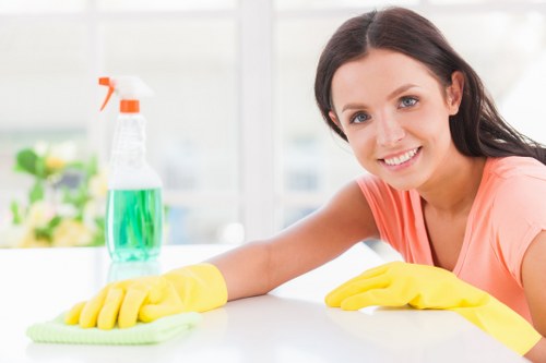 Professional upholstery cleaning for a sofa in a W1G home