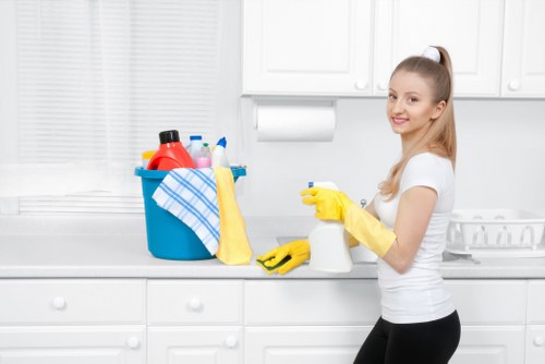 Deep cleaning treatment for pet stains on carpet in central London property