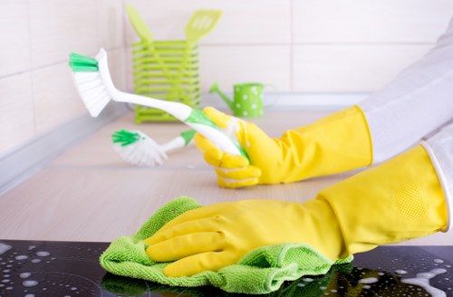 Reliable Carpet Cleaners W1G checkout page with encrypted payment options