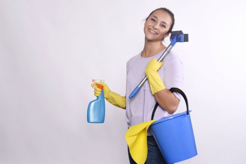 Commercial one-off cleaning for W1G offices and clinics