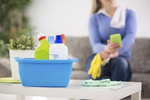 Detailed carpet stain treatment and fabric care process in W1G