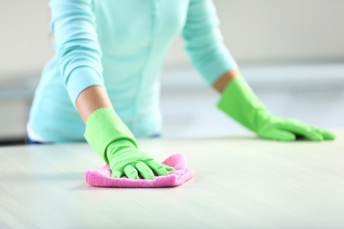 Odour neutralisation process for a sofa affected by pet accidents