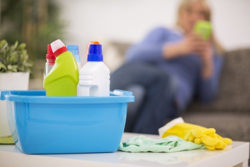 Regular house cleaning for flats and small offices in W1G