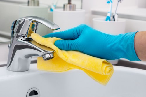 Bathroom move-in cleaning in a central London W1G residence