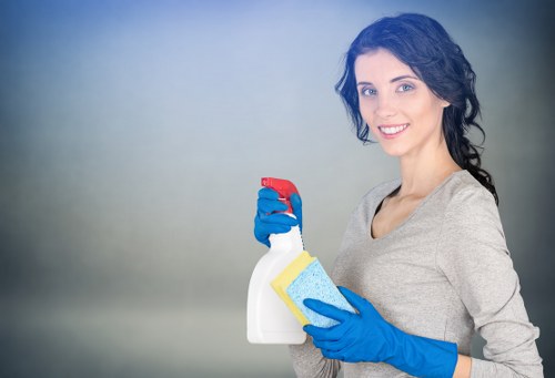 Detailed kitchen deep cleaning in a central London W1G property