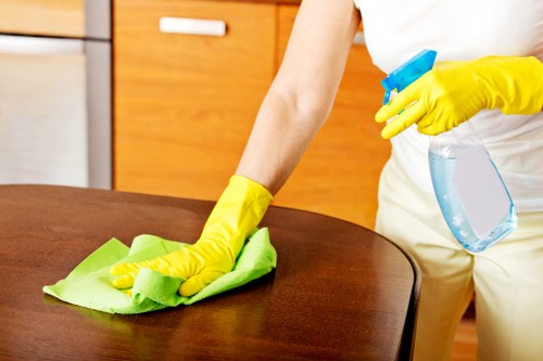 Local cleaning team working in a W1G apartment with careful attention to detail